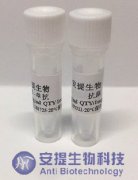 氟苯尼考/甲砜霉素双特异性基因工程抗体
